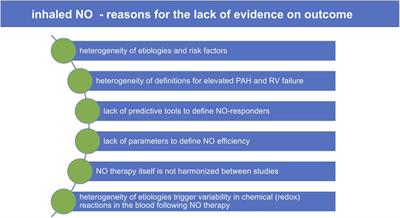 Inhaled NO at a crossroads in cardiac surgery: current need to improve mechanistic understanding, clinical trial design and scientific evidence